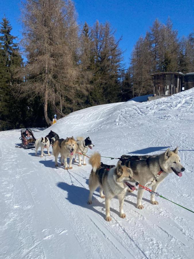 Plagne Bellecote - 5 Pers - Vue Pistes - Acces Piscine Chauffee Leilighet La Plagne Eksteriør bilde